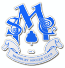 Modbury Jets